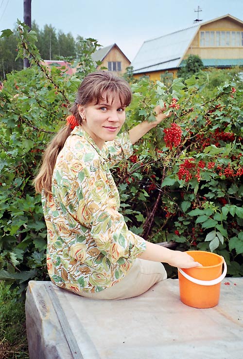 Photo the beautiful girl in berries